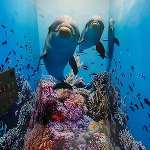  Auberge de jeunesse Tabist Sparkling Dolphins